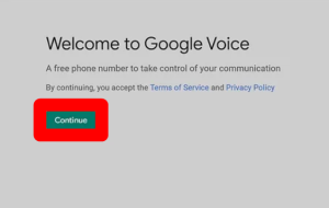 Google Voice Terms of Service & Privacy Policy